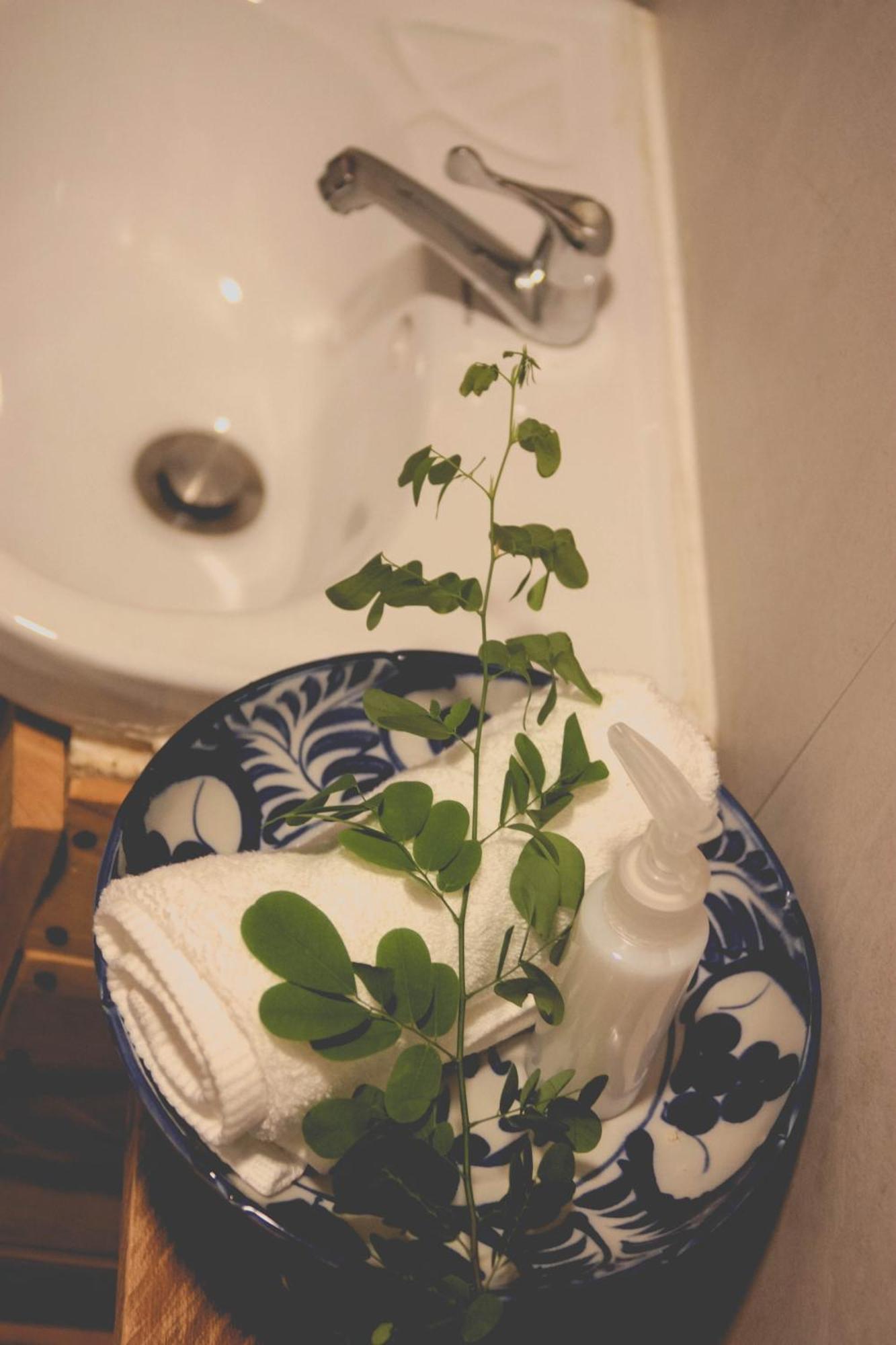 Dahlia Guesthouse ロンサレム島 エクステリア 写真