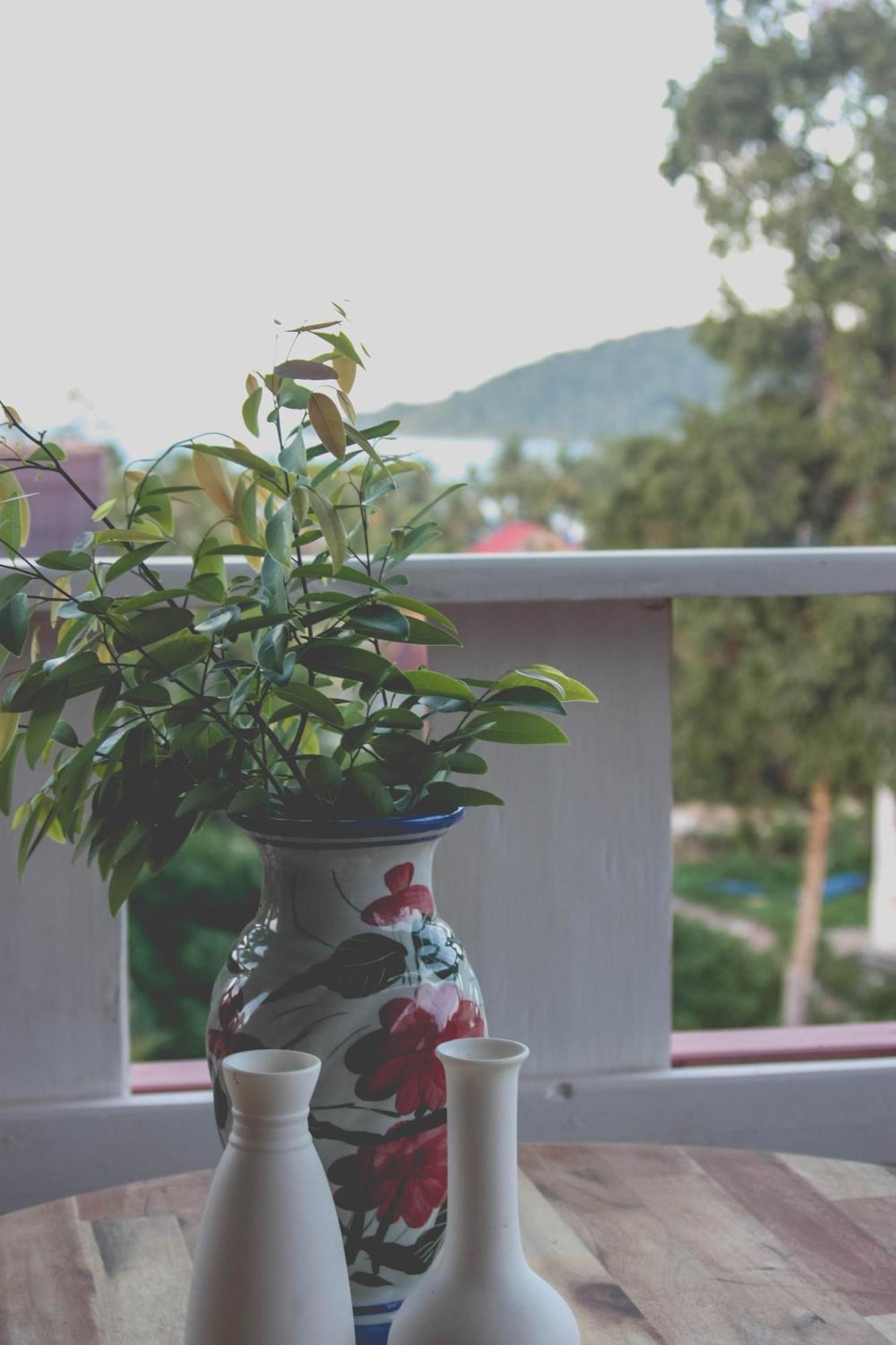 Dahlia Guesthouse ロンサレム島 エクステリア 写真